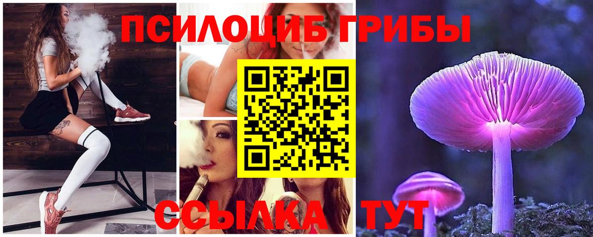 Вязники  Галлюциногенные грибы GOLDEN TEACHER  Вход с VPN 